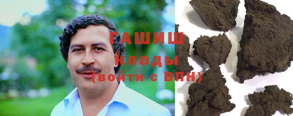 шишки Сатка