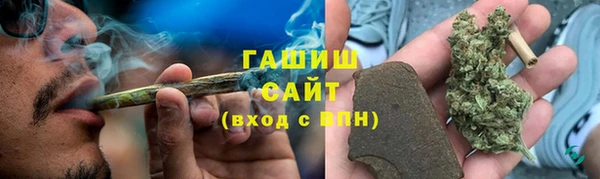 шишки Сатка