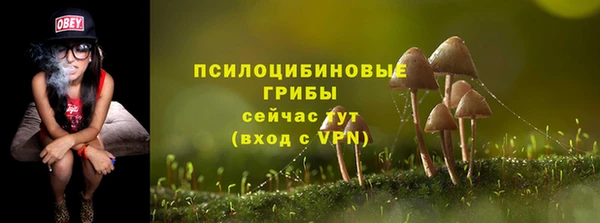 сатива Одинцово