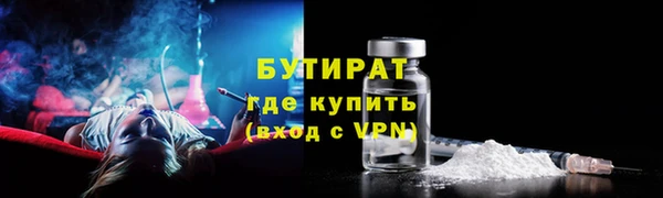 шишки Сатка