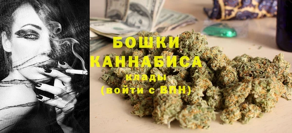 прущие грибы Саяногорск