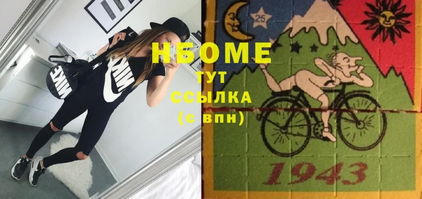 шишки Сатка
