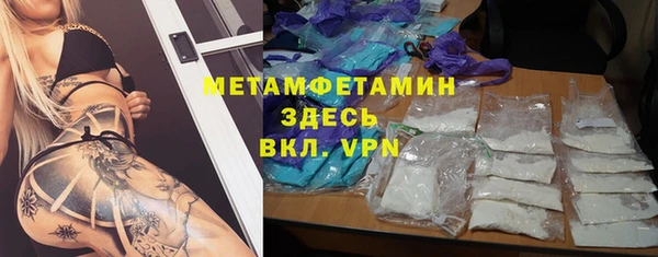шишки Сатка
