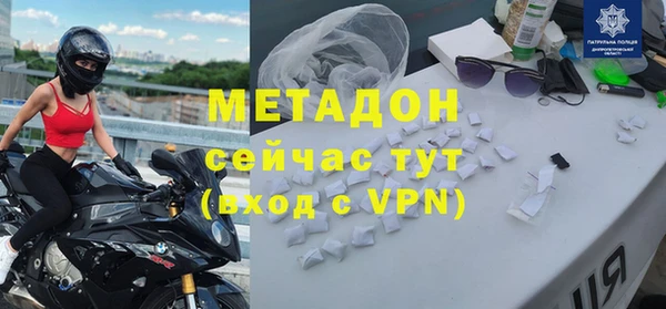 прущие грибы Саяногорск