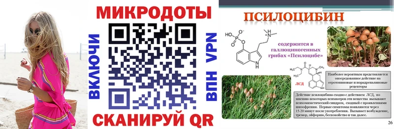 Псилоцибиновые грибы Psilocybine cubensis  Купить закладки  Кинель 