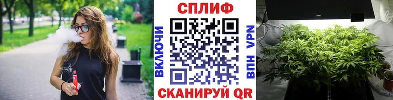 Купить  Кинель  Канабис THC 21% 